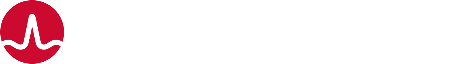 Broadcom logo large for dark backgrounds (transparent PNG)