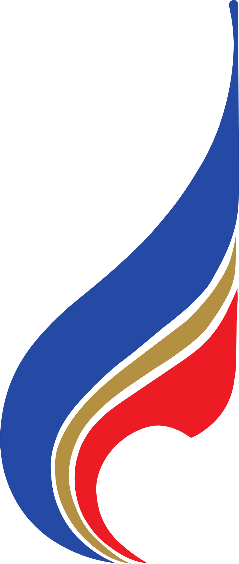 Bangkok Airways
 logo (PNG transparent)