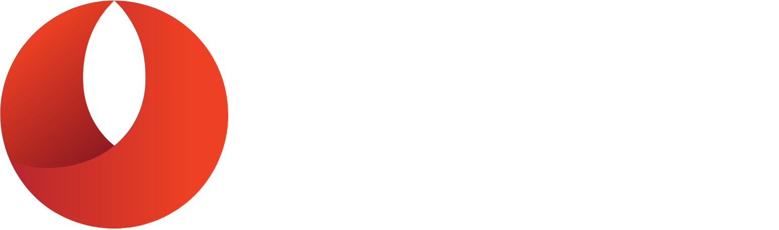 Bandhan Bank
 logo fulle size on a dark background (transparent PNG)