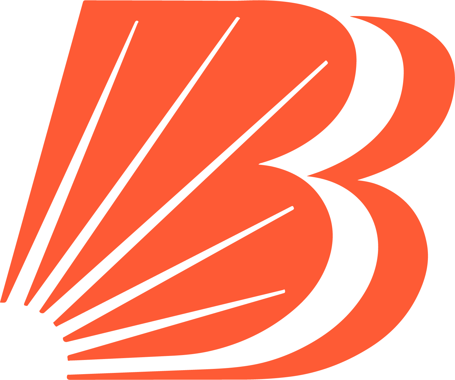 Bank of Baroda
 logo (transparent PNG)