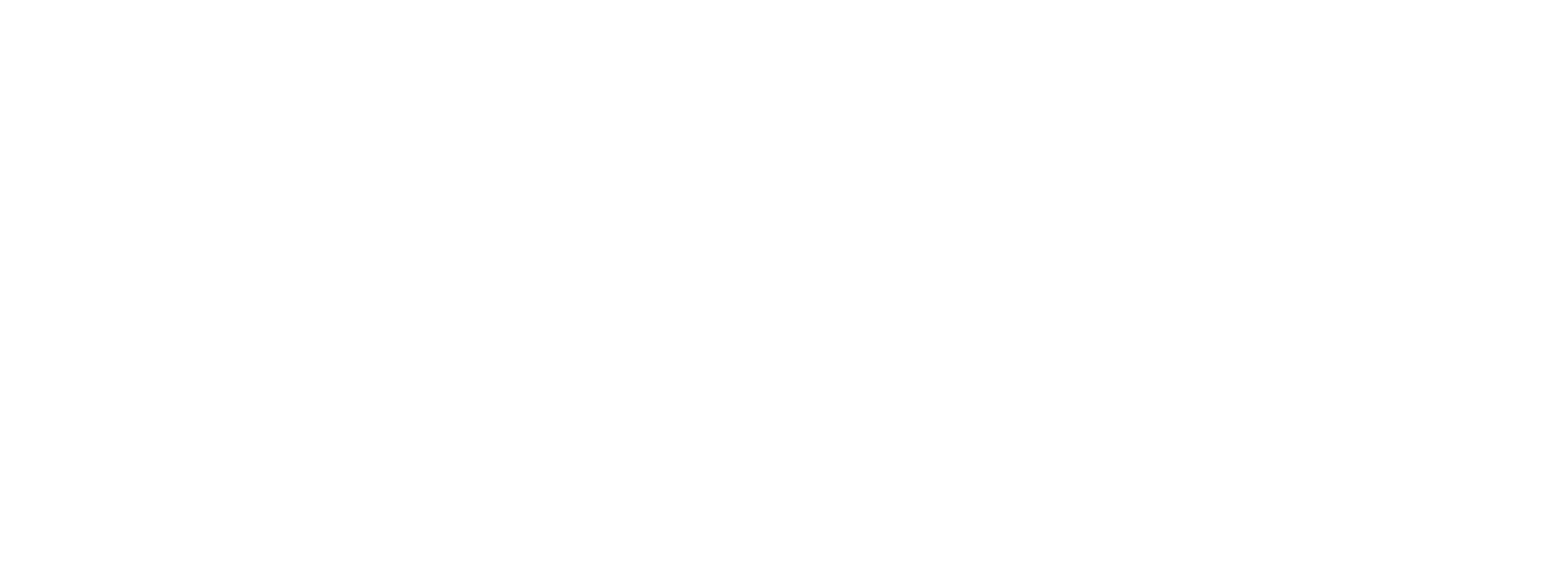 BASF India Logo groß für dunkle Hintergründe (transparentes PNG)