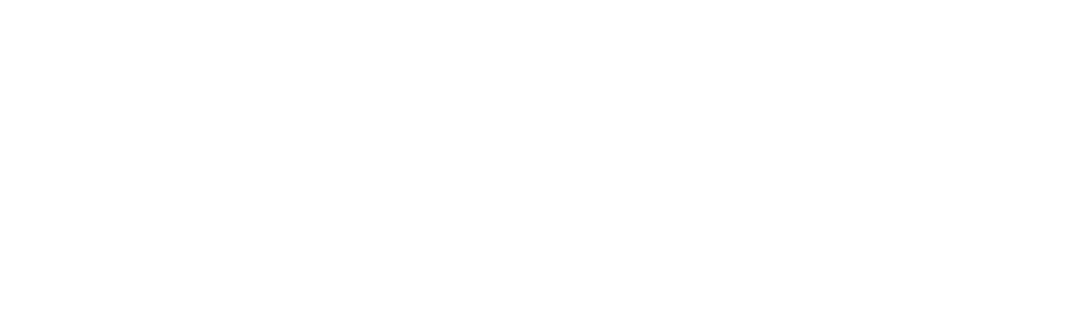 BIC logo grand pour les fonds sombres (PNG transparent)