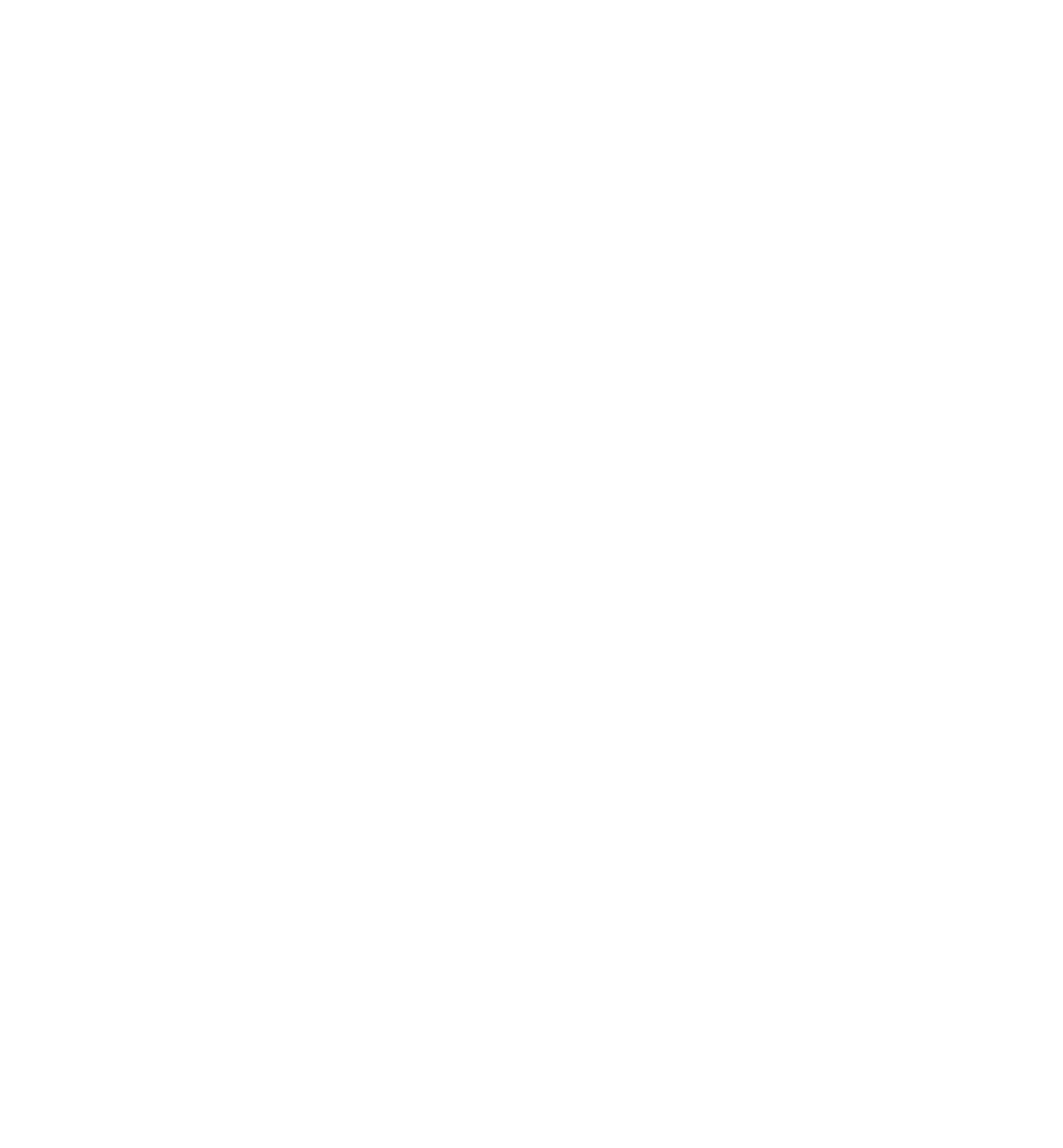 Beerenberg logo on a dark background (transparent PNG)