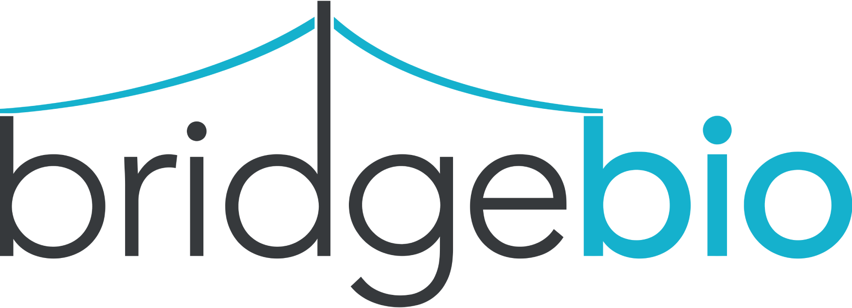 BridgeBio Pharma
 logo large (transparent PNG)