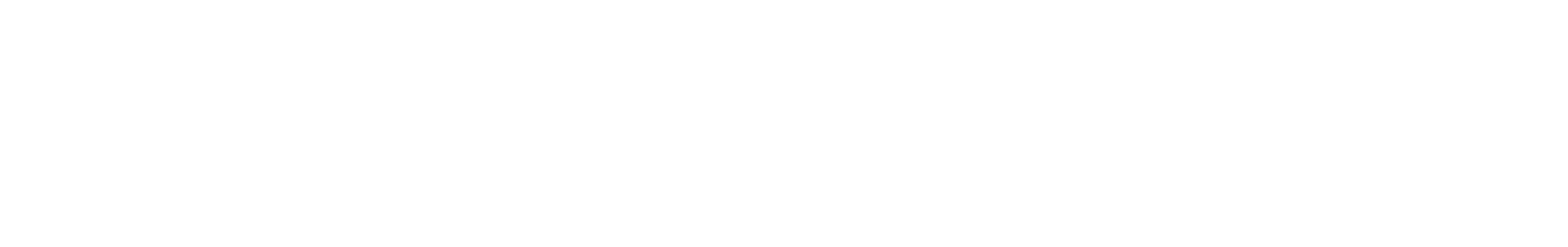 BridgeBio Pharma
 Logo groß für dunkle Hintergründe (transparentes PNG)