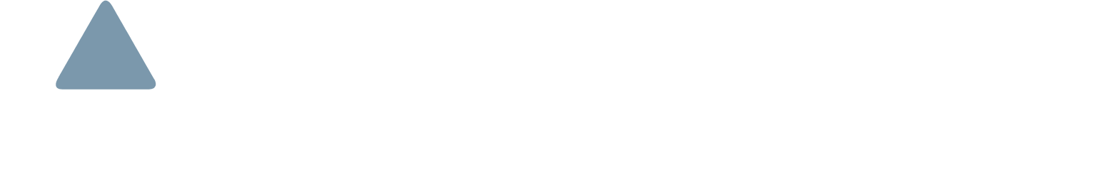 Tritax Big Box REIT Logo groß für dunkle Hintergründe (transparentes PNG)