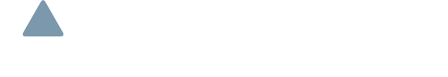 Tritax Big Box REIT logo fulle size on a dark background (transparent PNG)