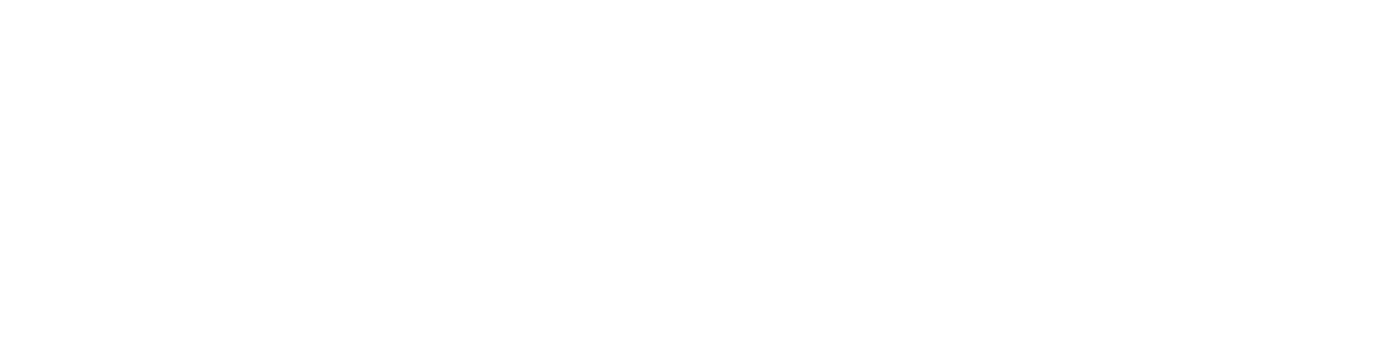 Bicara Therapeutics logo fulle size on a dark background (transparent PNG)