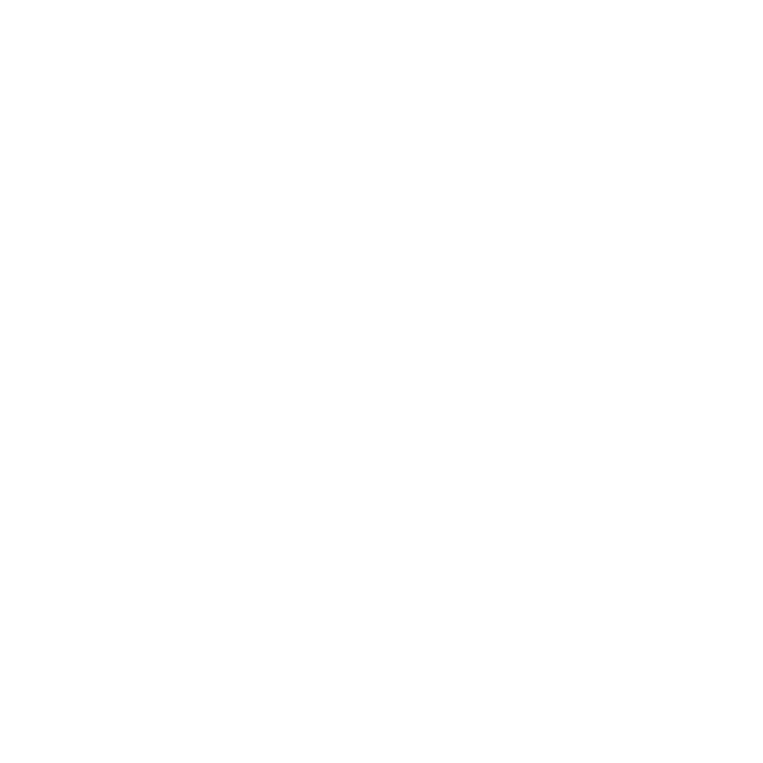 Brightcove Logo für dunkle Hintergründe (transparentes PNG)