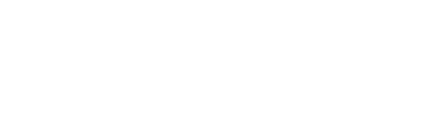 Balchem logo fulle size on a dark background (transparent PNG)