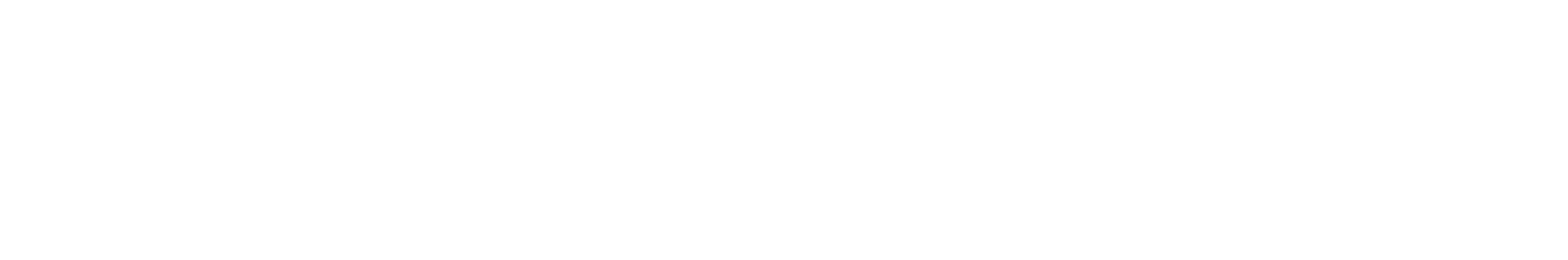 Bain Capital
 Logo groß für dunkle Hintergründe (transparentes PNG)