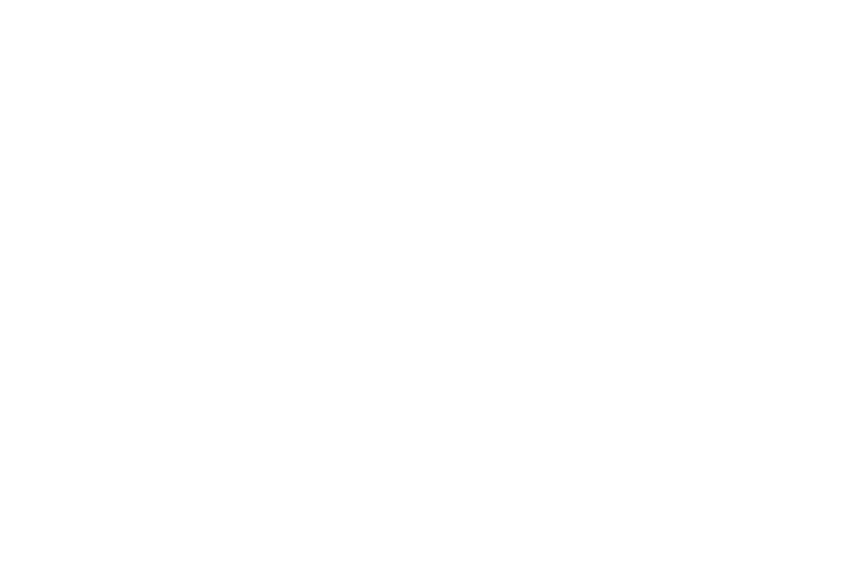 Badger Infrastructure Solutions Logo groß für dunkle Hintergründe (transparentes PNG)