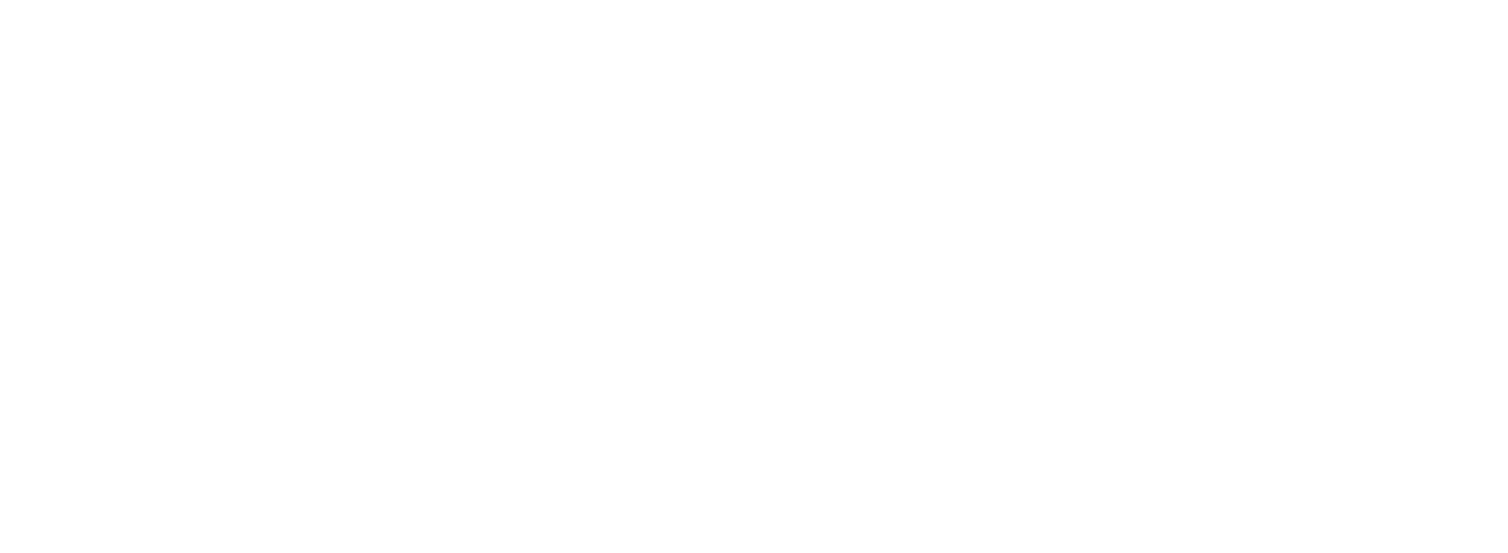 Bangkok Dusit Medical Services (BDMS) logo grand pour les fonds sombres (PNG transparent)