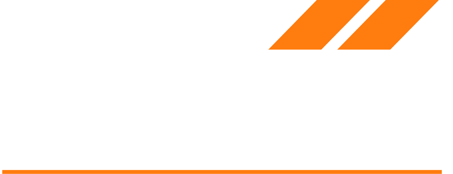 BELIMO Holding logo large for dark backgrounds (transparent PNG)