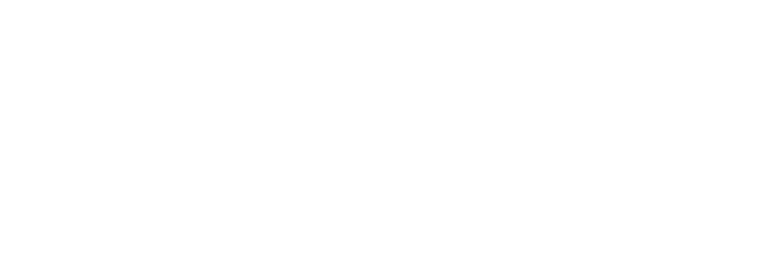 Bel Fuse logo large for dark backgrounds (transparent PNG)