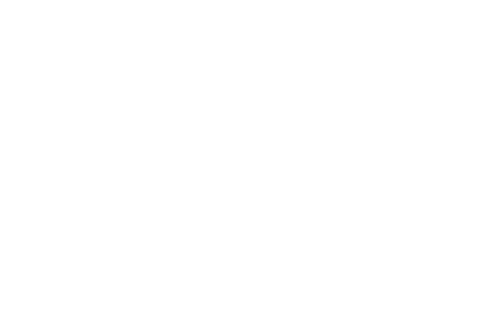 Damaan Islamic Insurance Company (Beema) logo grand pour les fonds sombres (PNG transparent)