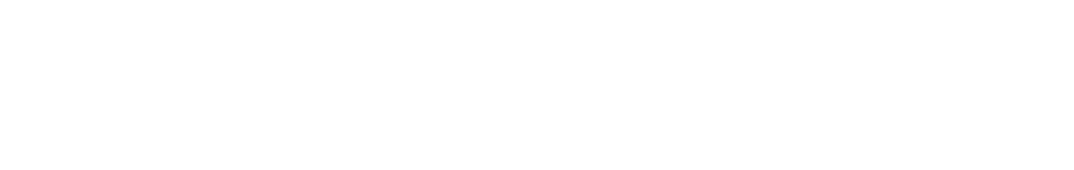 BowFlex Logo groß für dunkle Hintergründe (transparentes PNG)