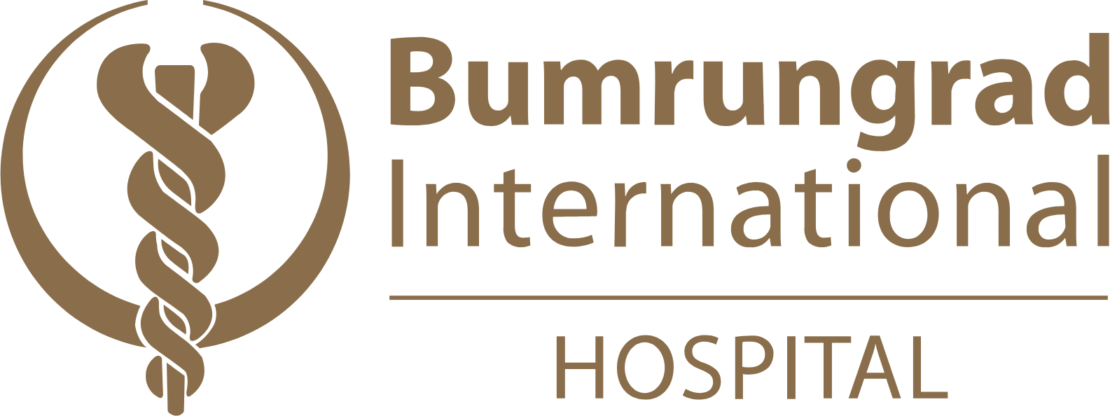Bumrungrad Hospital logo large (transparent PNG)