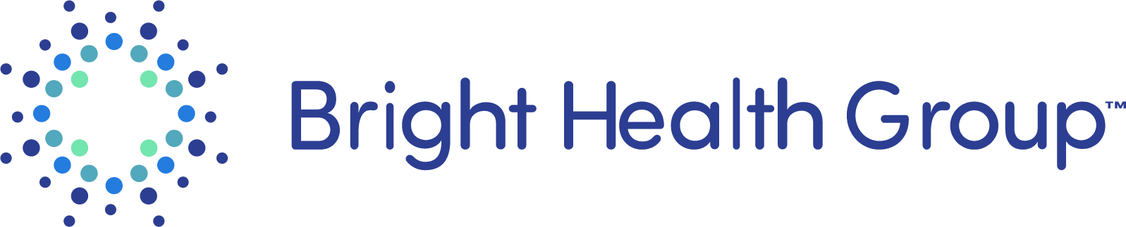 Bright Health logo large (transparent PNG)