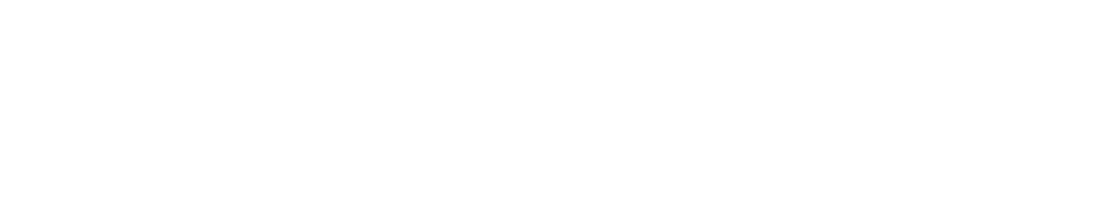 Bright Health logo grand pour les fonds sombres (PNG transparent)