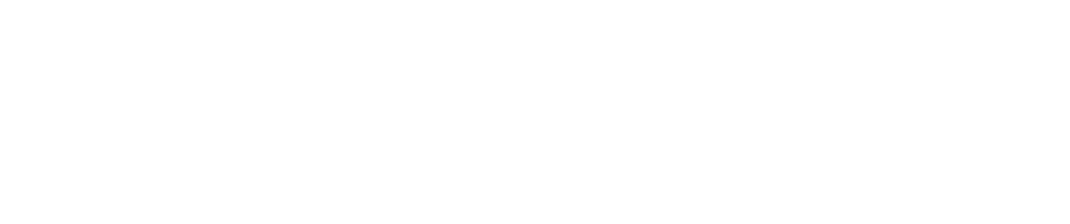 BICO Group Logo groß für dunkle Hintergründe (transparentes PNG)