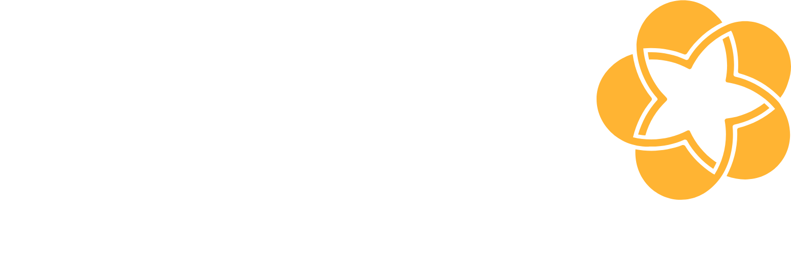 BIDV  (Commercial Bank for Investment and Development of Vietnam) logo fulle size on a dark background (transparent PNG)