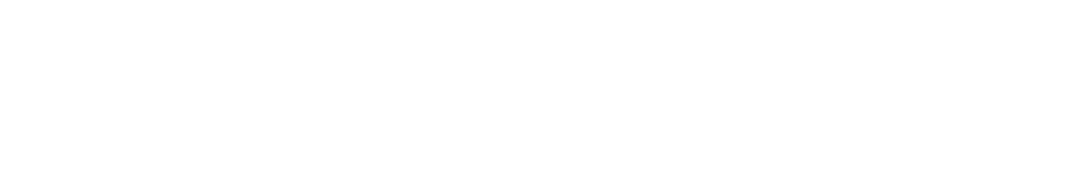 Birkenstock Logo groß für dunkle Hintergründe (transparentes PNG)