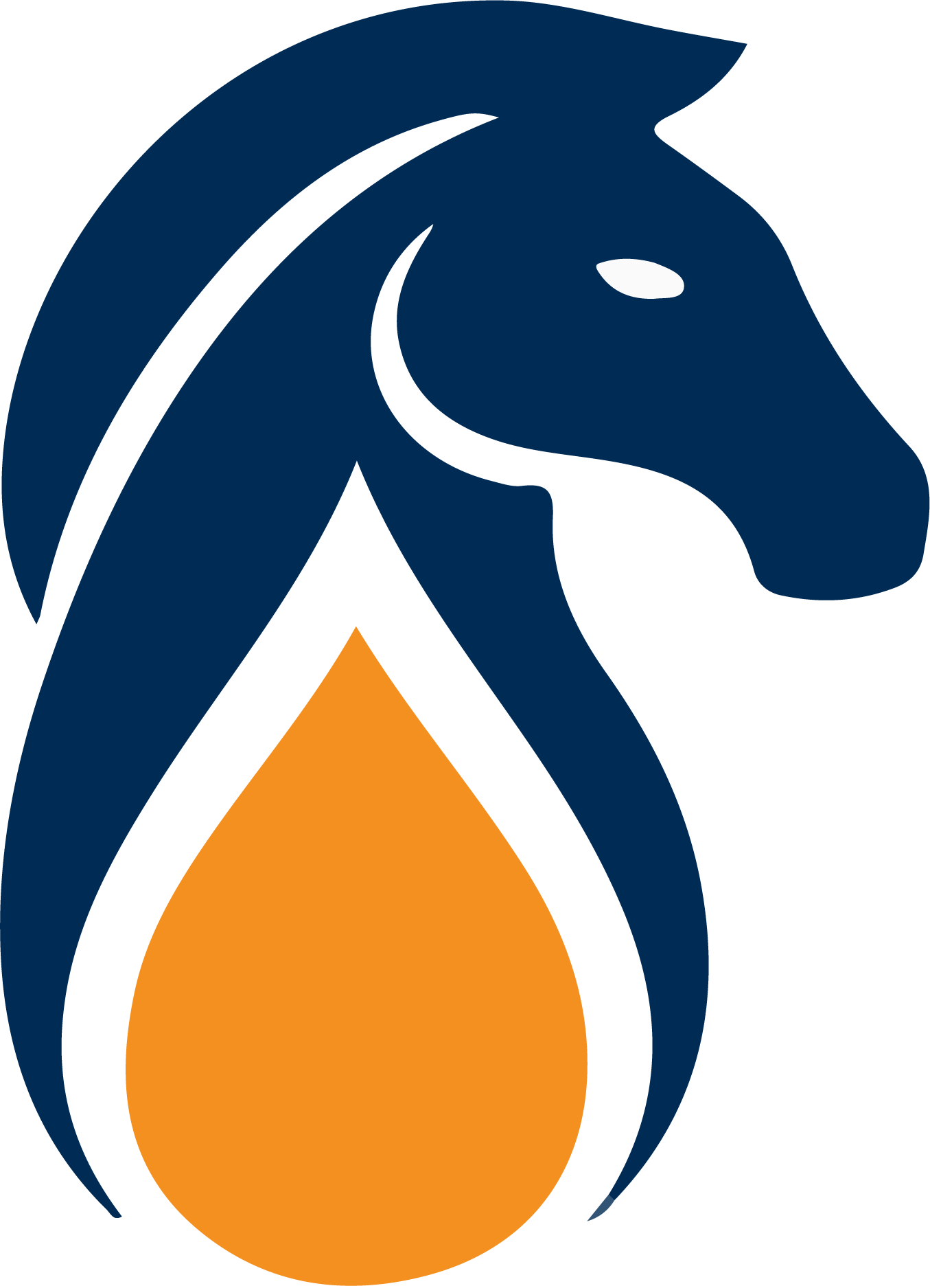 Blueknight Energy Partners logo (transparent PNG)