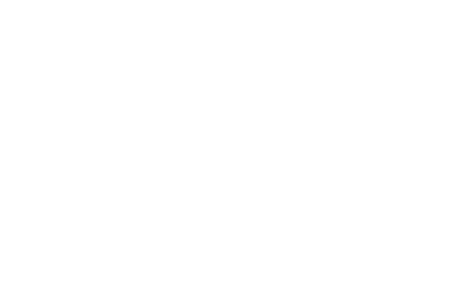 BKI Investment Company logo pour fonds sombres (PNG transparent)