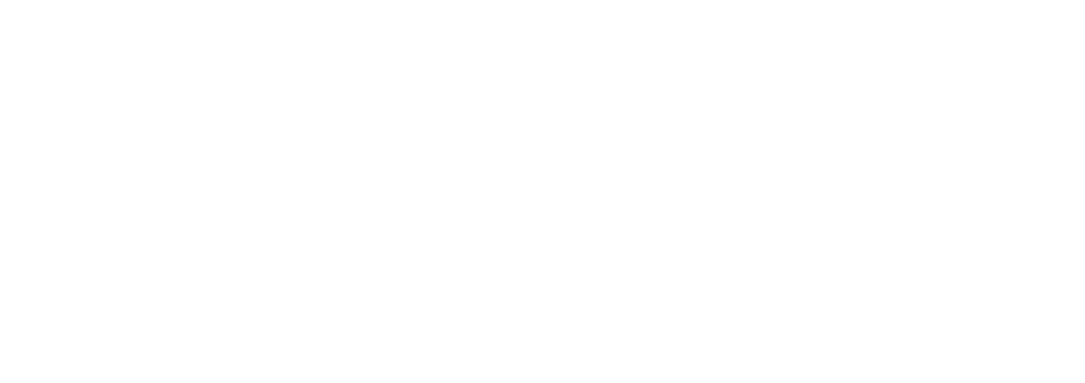 Bank Nizwa Logo groß für dunkle Hintergründe (transparentes PNG)