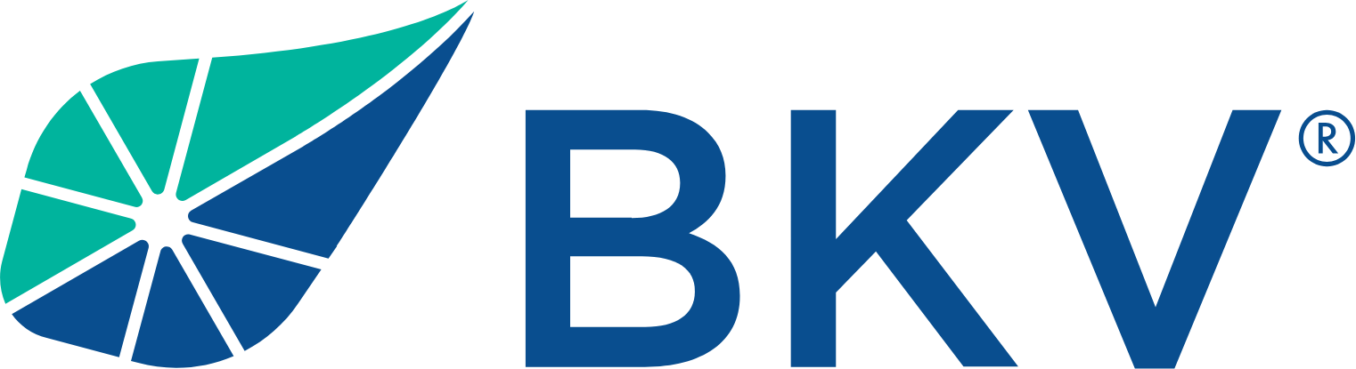 BKV Corporation logo large (transparent PNG)