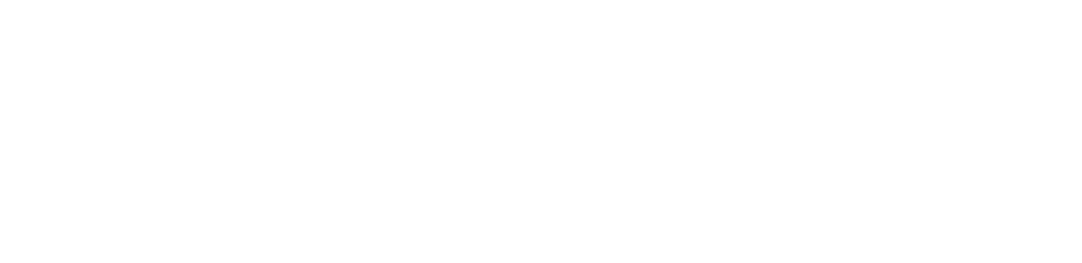 Boral logo grand pour les fonds sombres (PNG transparent)