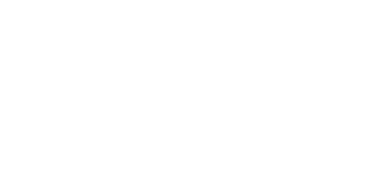 BLS International
 Logo für dunkle Hintergründe (transparentes PNG)