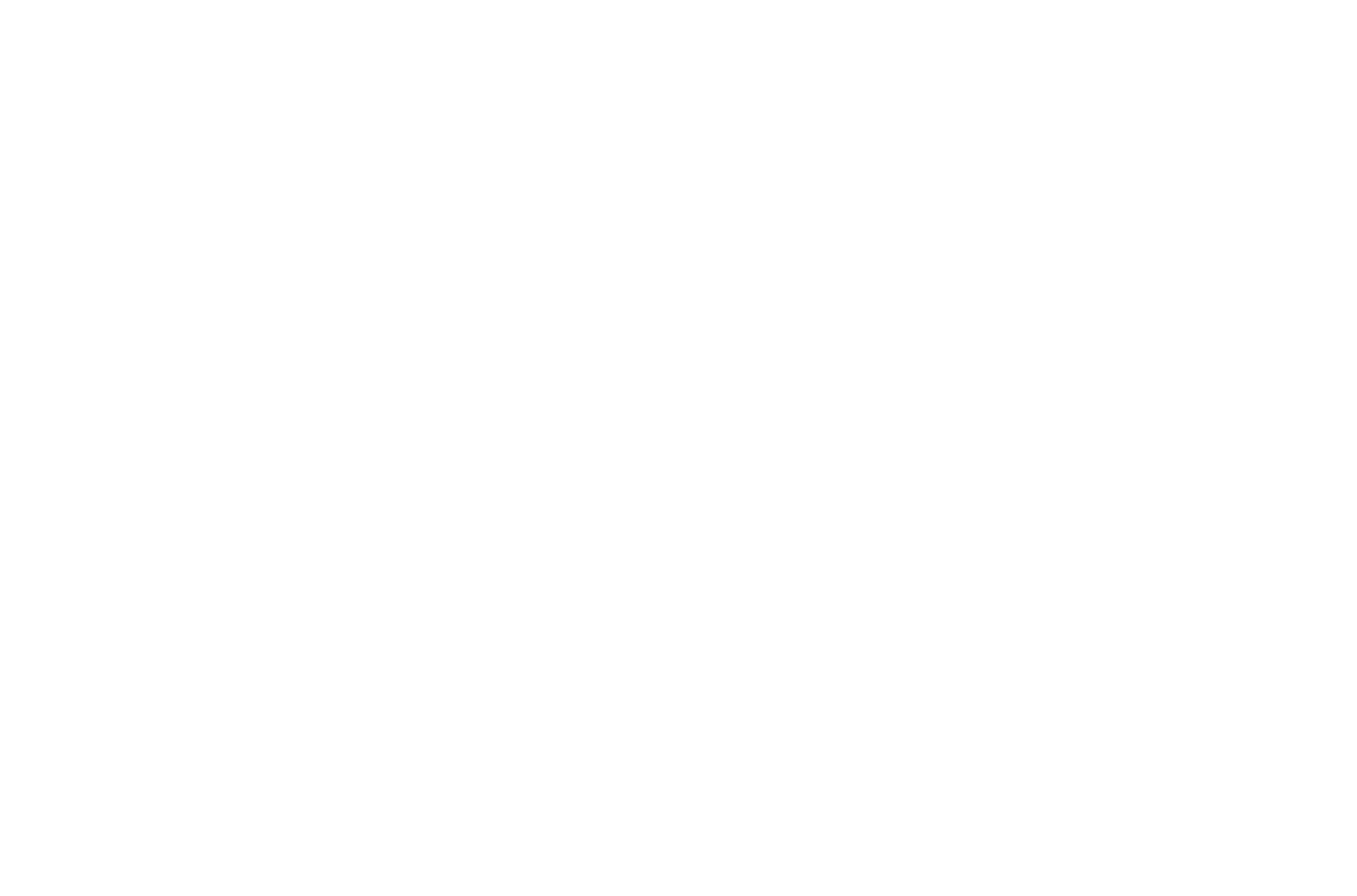 BLS International
 Logo groß für dunkle Hintergründe (transparentes PNG)