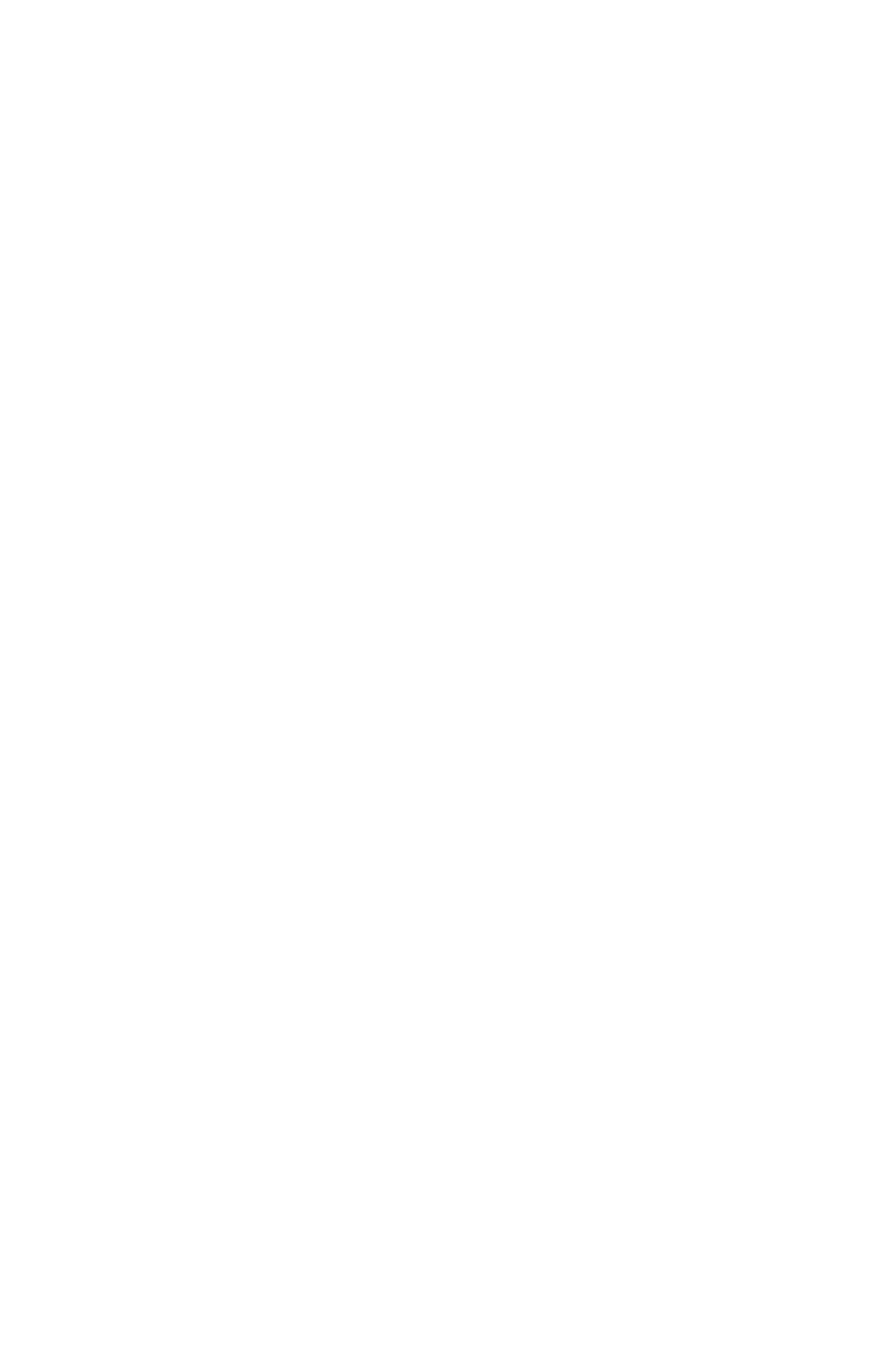 Boralex Logo für dunkle Hintergründe (transparentes PNG)