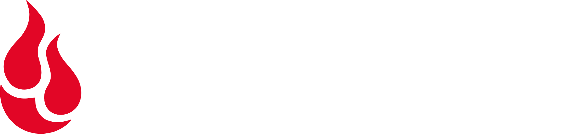 Backblaze Logo groß für dunkle Hintergründe (transparentes PNG)