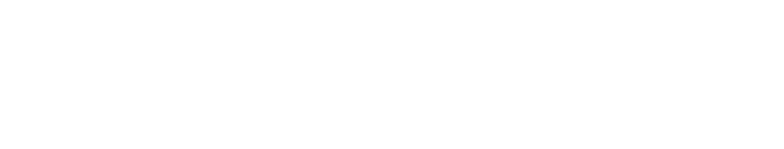 Banque nationale de Belgique logo grand pour les fonds sombres (PNG transparent)