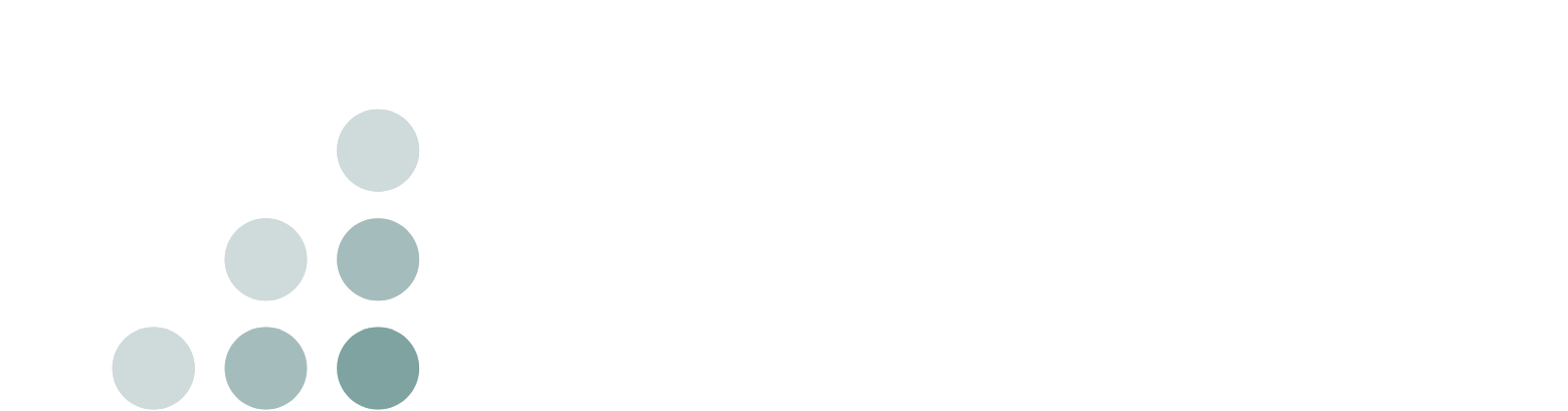 Barnes & Noble Education Logo groß für dunkle Hintergründe (transparentes PNG)