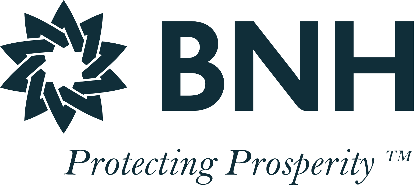 Bahrain National Holding logo large (transparent PNG)