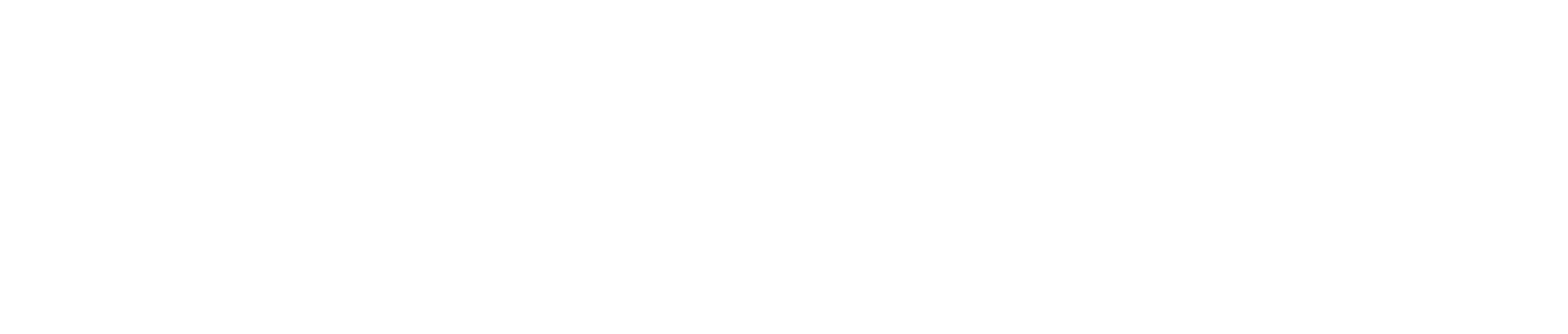 Broadstone Net Lease logo grand pour les fonds sombres (PNG transparent)