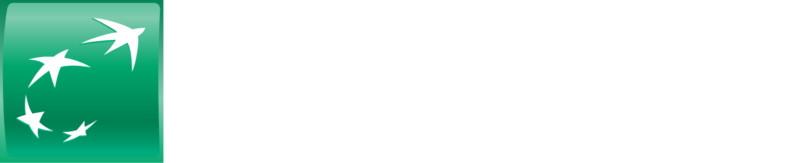 BNP Paribas logo large for dark backgrounds (transparent PNG)
