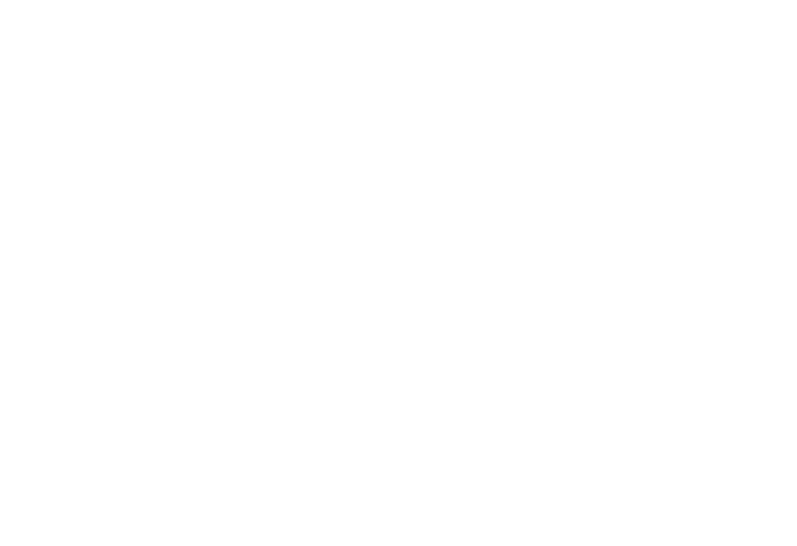 Bodal Chemicals logo pour fonds sombres (PNG transparent)