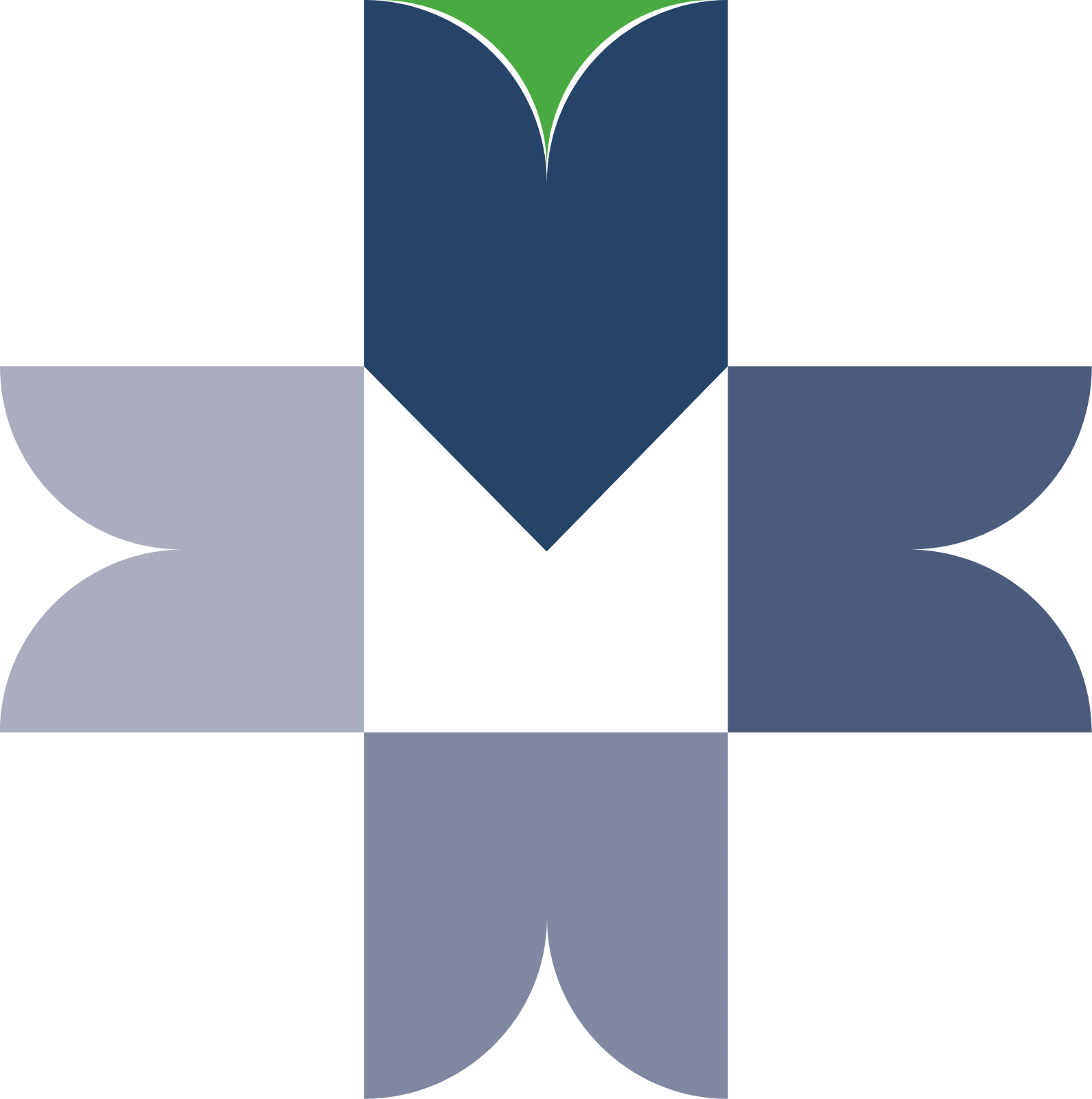 BMV (Bolsa Mexicana de Valores) logo (transparent PNG)