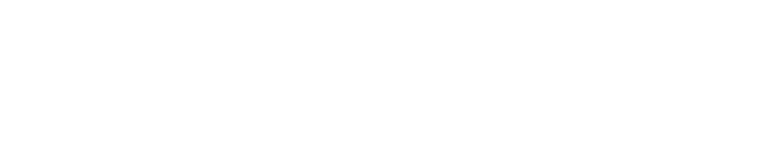 Bonesupport Holding AB logo fulle size on a dark background (transparent PNG)