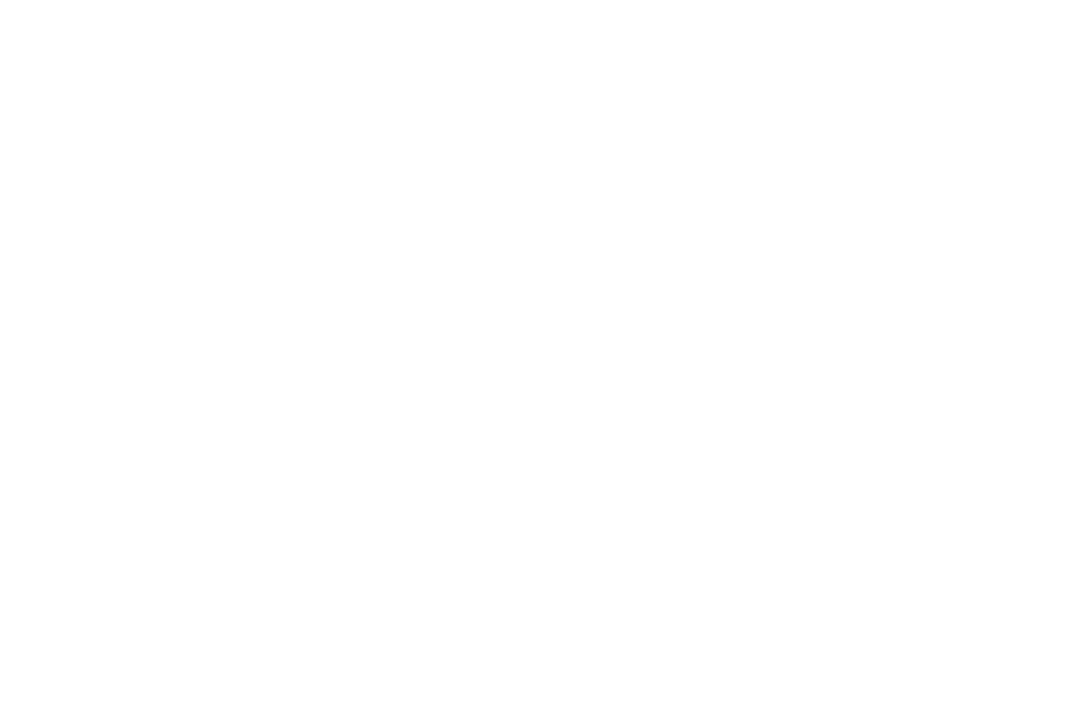 Borouge logo pour fonds sombres (PNG transparent)