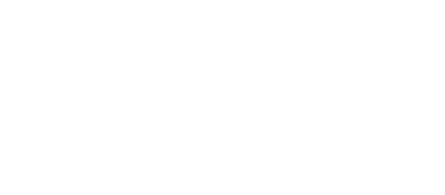 Borouge Logo groß für dunkle Hintergründe (transparentes PNG)