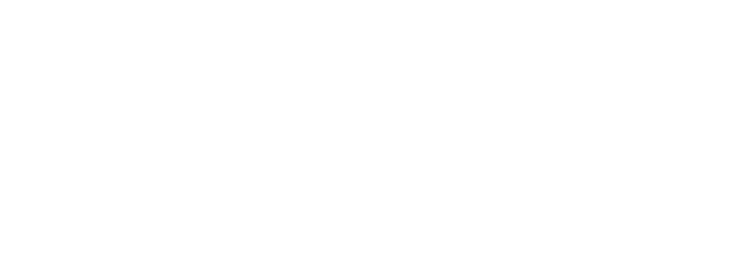 Borr Drilling
 logo grand pour les fonds sombres (PNG transparent)