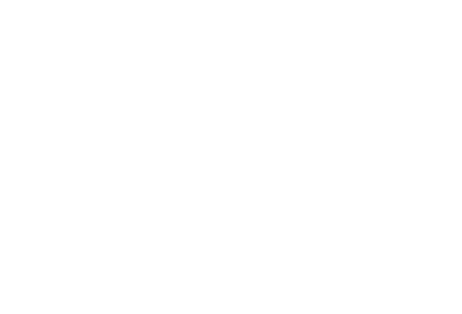 Bank Ochrony Srodowiska Logo groß für dunkle Hintergründe (transparentes PNG)