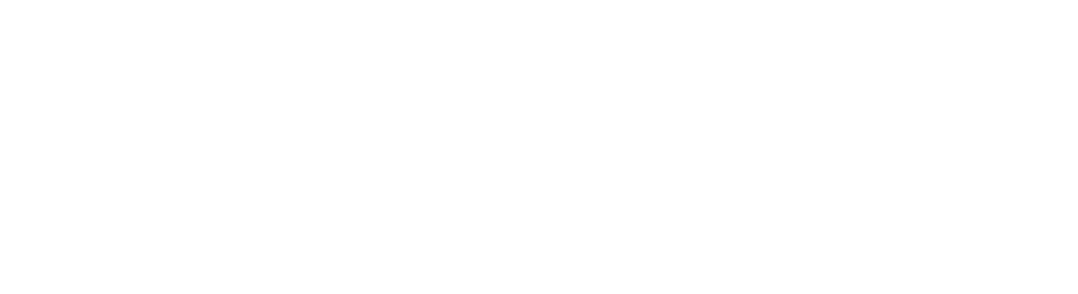 Boxlight
 logo grand pour les fonds sombres (PNG transparent)