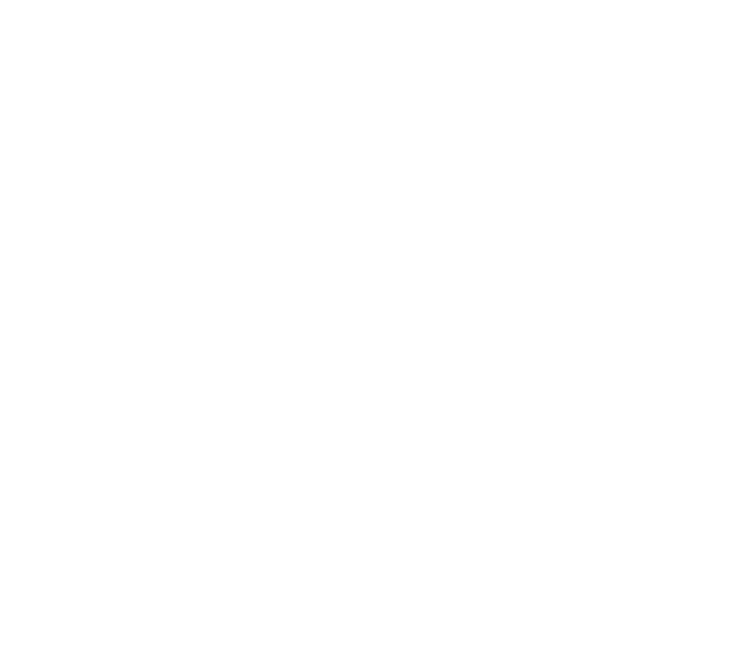 Brady logo for dark backgrounds (transparent PNG)
